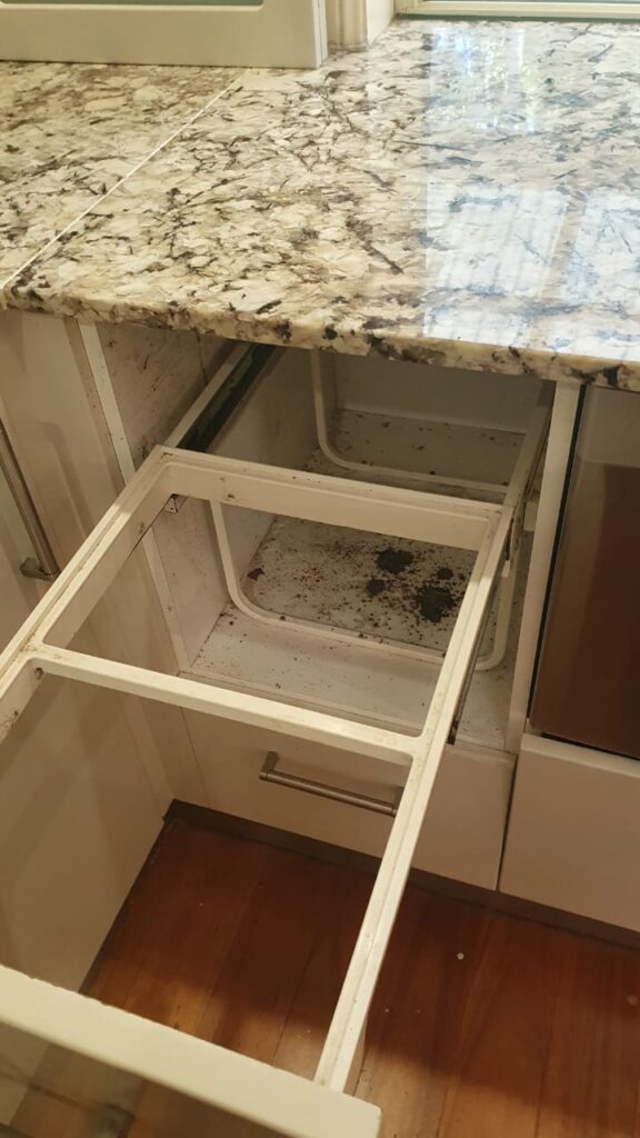 WhatsApp Image 2025-11-28 at 23.11.04