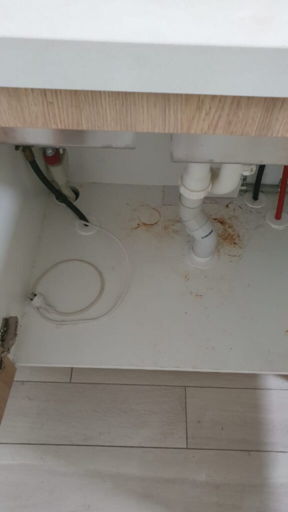 WhatsApp Image 2025-11-28 at 23.11.16